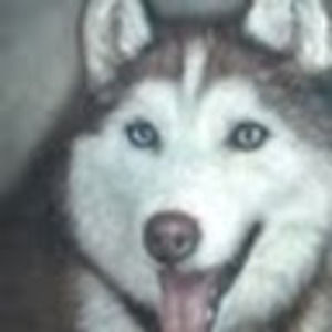 Meet your Posher, Barbara pepper-